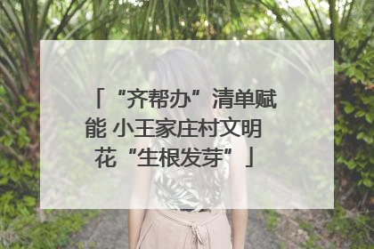 “齐帮办”清单赋能 小王家庄村文明花“生根发芽”