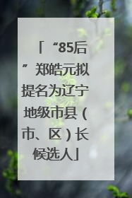 “85后”郑皓元拟提名为辽宁地级市县（市、区）长候选人