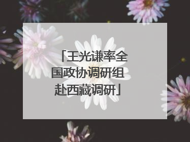 王光谦率全国政协调研组赴西藏调研