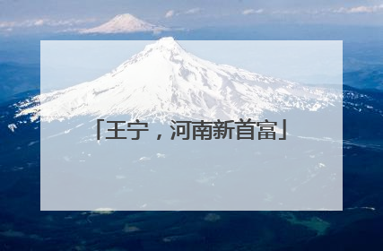 王宁，河南新首富