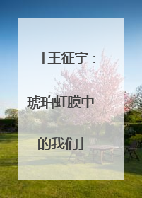 王征宇：琥珀虹膜中的我们