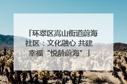 环翠区嵩山街道蔚海社区：文化融心 共建幸福“悦龄蔚海”