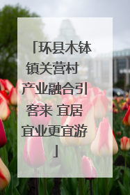 环县木钵镇关营村 产业融合引客来 宜居宜业更宜游