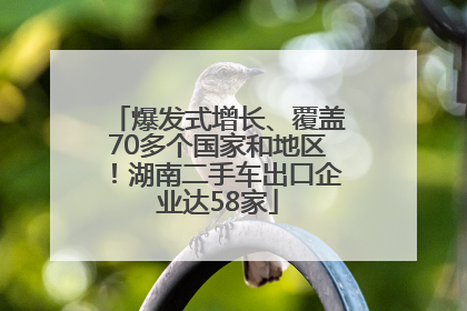 爆发式增长、覆盖70多个国家和地区！湖南二手车出口企业达58家