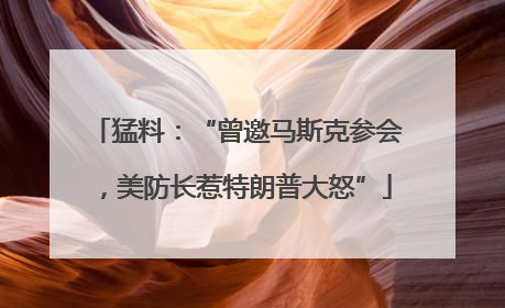 猛料：“曾邀马斯克参会，美防长惹特朗普大怒”