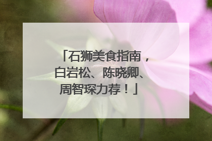 石狮美食指南，白岩松、陈晓卿、周智琛力荐！