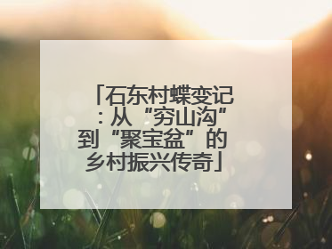 石东村蝶变记：从“穷山沟”到“聚宝盆”的乡村振兴传奇