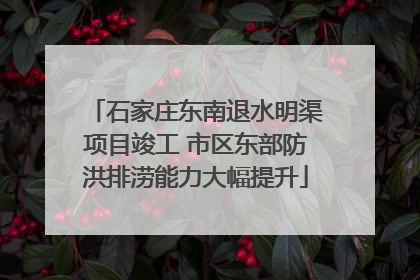 石家庄东南退水明渠项目竣工 市区东部防洪排涝能力大幅提升