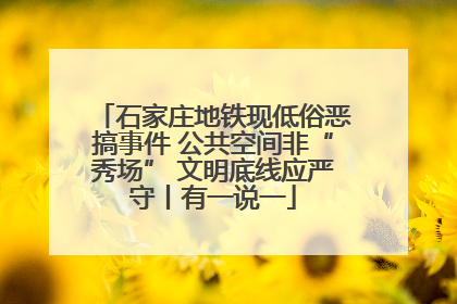 石家庄地铁现低俗恶搞事件 公共空间非“秀场” 文明底线应严守丨有一说一