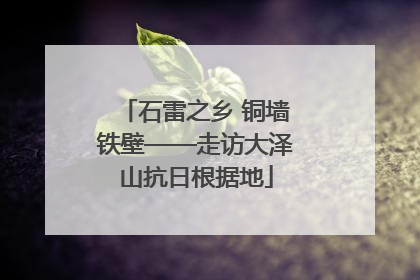 石雷之乡 铜墙铁壁——走访大泽山抗日根据地