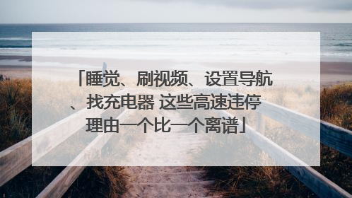 睡觉、刷视频、设置导航、找充电器 这些高速违停理由一个比一个离谱