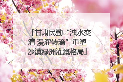 甘肃民勤“浊水变清 漫灌转滴”重塑沙漠绿洲灌溉格局