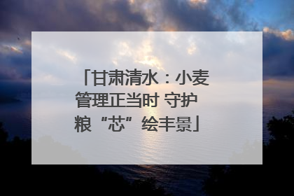 甘肃清水：小麦管理正当时 守护粮“芯”绘丰景