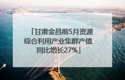 甘肃金昌前5月资源综合利用产业集群产值同比增长27%