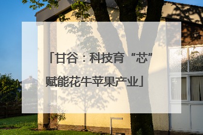 甘谷：科技育“芯”赋能花牛苹果产业