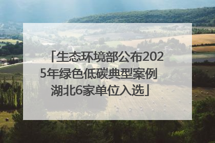 生态环境部公布2025年绿色低碳典型案例 湖北6家单位入选