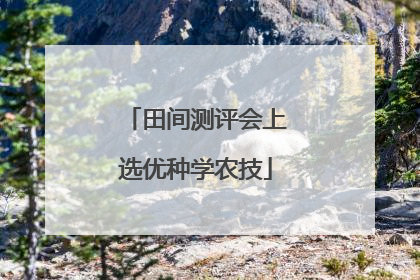 田间测评会上选优种学农技