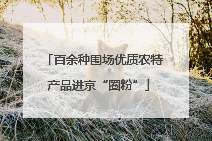 百余种围场优质农特产品进京“圈粉”