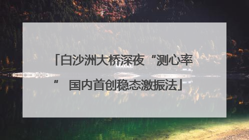 白沙洲大桥深夜“测心率” 国内首创稳态激振法