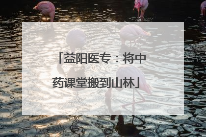 益阳医专：将中药课堂搬到山林