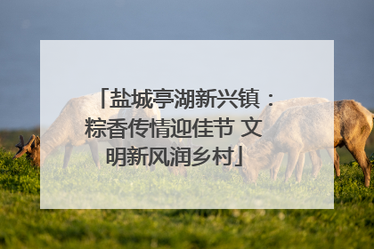 盐城亭湖新兴镇：粽香传情迎佳节 文明新风润乡村