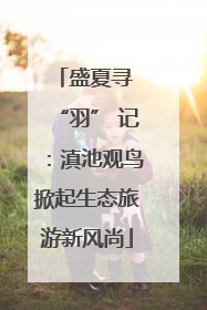 盛夏寻 “羽” 记：滇池观鸟掀起生态旅游新风尚
