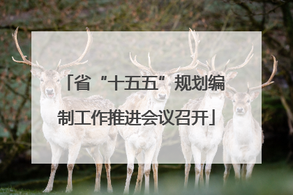 省“十五五”规划编制工作推进会议召开