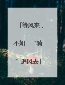等风来，不如一“骑”追风去