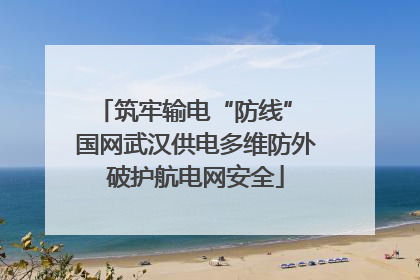 筑牢输电“防线” 国网武汉供电多维防外破护航电网安全