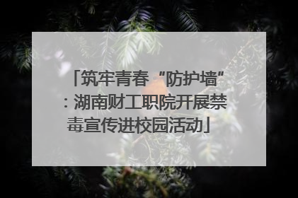 筑牢青春“防护墙”：湖南财工职院开展禁毒宣传进校园活动
