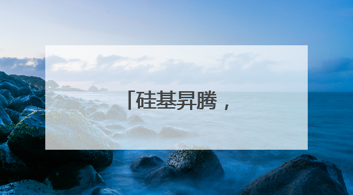 硅基昇腾，中国突围