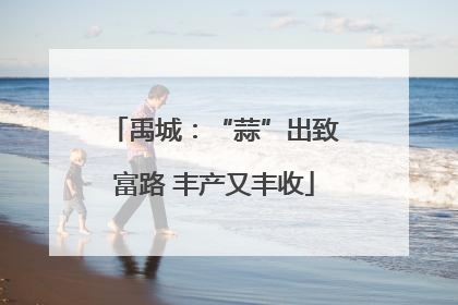 禹城：“蒜”出致富路 丰产又丰收