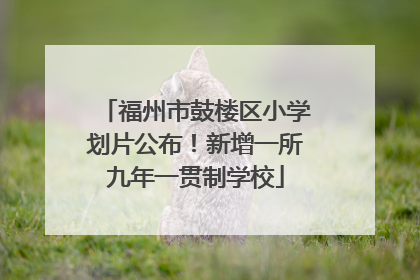 福州市鼓楼区小学划片公布！新增一所九年一贯制学校