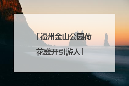 福州金山公园荷花盛开引游人