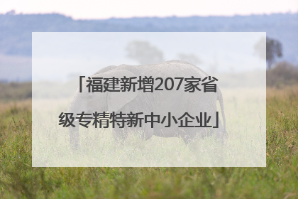 福建新增207家省级专精特新中小企业