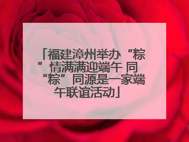 福建漳州举办“粽”情满满迎端午 同“粽”同源是一家端午联谊活动
