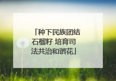 种下民族团结石榴籽 培育司法共治和谐花
