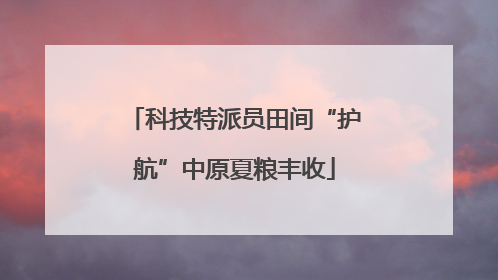 科技特派员田间“护航”中原夏粮丰收