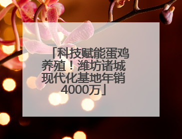 科技赋能蛋鸡养殖！潍坊诸城现代化基地年销4000万