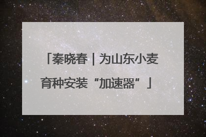 秦晓春｜为山东小麦育种安装“加速器”