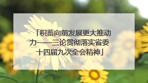 积蓄向前发展更大推动力——三论贯彻落实省委十四届九次全会精神