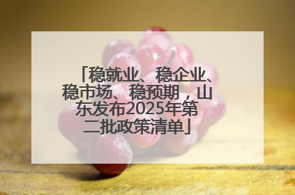 稳就业、稳企业、稳市场、稳预期，山东发布2025年第二批政策清单