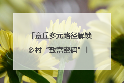 章丘多元路径解锁乡村“致富密码”