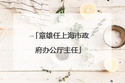 章雄任上海市政府办公厅主任