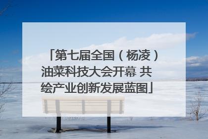 第七届全国（杨凌）油菜科技大会开幕 共绘产业创新发展蓝图