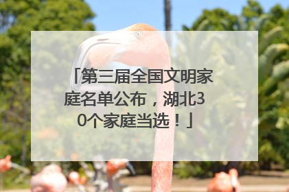 第三届全国文明家庭名单公布，湖北30个家庭当选！