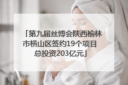 第九届丝博会陕西榆林市横山区签约19个项目 总投资203亿元