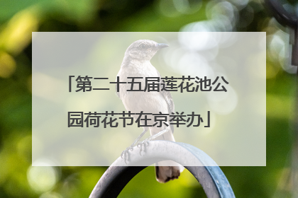 第二十五届莲花池公园荷花节在京举办