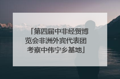 第四届中非经贸博览会非洲外宾代表团考察中伟宁乡基地