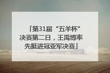 第31届“五羊杯”决赛第二日，王禹博率先挺进冠亚军决赛